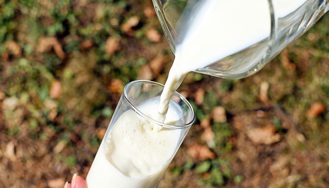 Mlieko a mliečne výrobky – piť či nepiť?